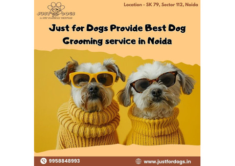 Dog Care, Dog Grooming, Dog Training Center In Noida | Just for Dogs