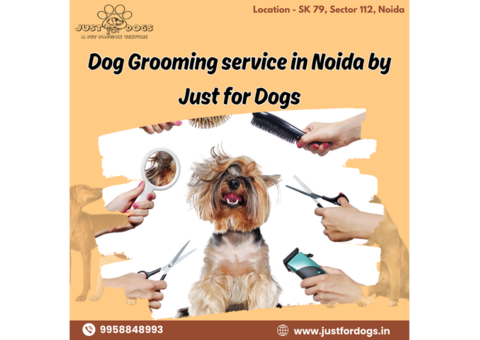 Dog Grooming service in Noida by Just for Dogs