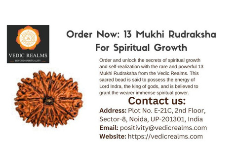 Order Now: 13 Mukhi Rudraksha For Spiritual Growth