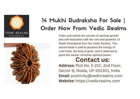 14 Mukhi Rudraksha For Sale | Order Now From Vedic Realms