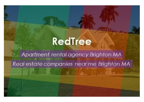 Choose a Luxurious Apartment Rental Agency Brighton MA