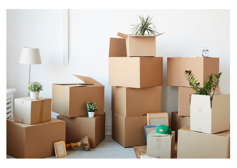 Hassle-Free Moving: Professional House Cleaning in Colorado Springs