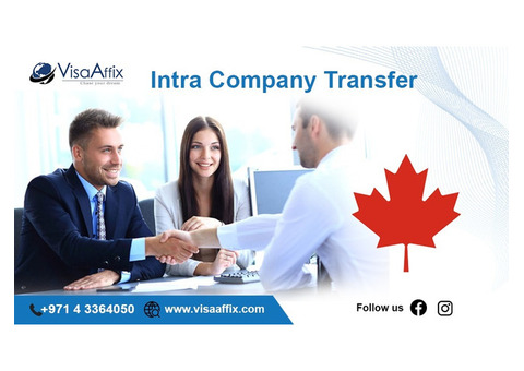 Expert Intra Company Transfer Solutions-visaaffix