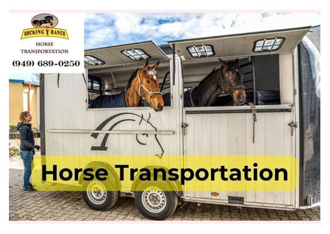 Specialized Equine Transportation Services | RockingY Ranch