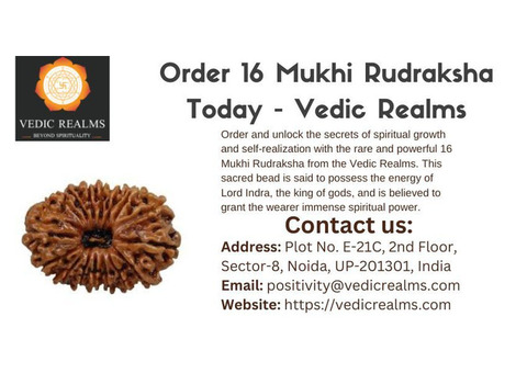 Buy Online: 16 Mukhi Rudraksha - Vedic Realms