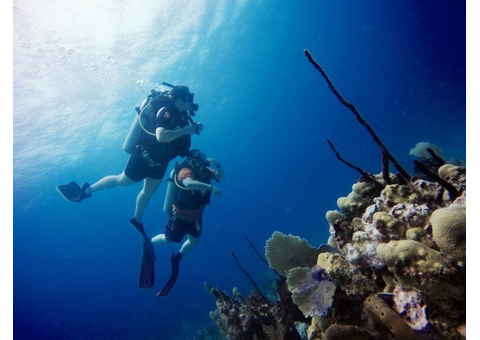 Scuba Diving Punta Cana