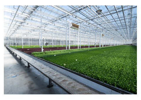 Eco-Friendly Irrigation: Balancing Crop Yield and Water Resources