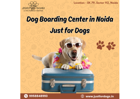 Dog Boarding Center in Noida | Just for Dogs