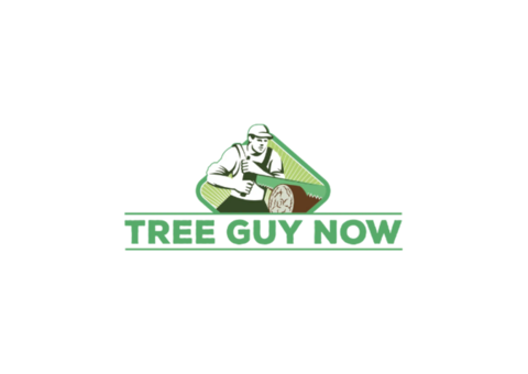 Tree Guy Now | Tree service