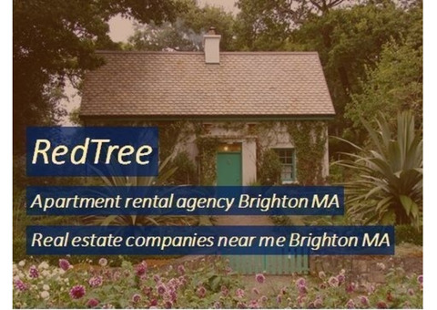 Choose Family Condo with Apartment Rental Agency Brighton MA