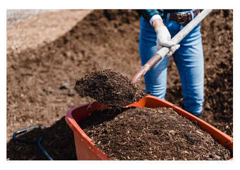 Enhance Your Orchard with Premium Apple Tree Fertiliser Solutions