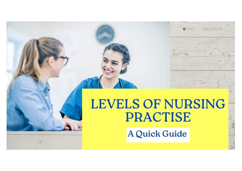 Levels of Nursing Practice- A Quick Guide