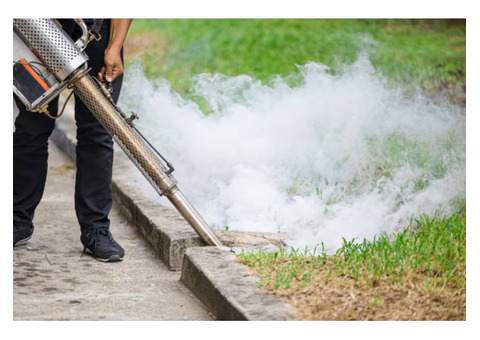 Affordable mosquito treatments in Ottawa: keeping your home