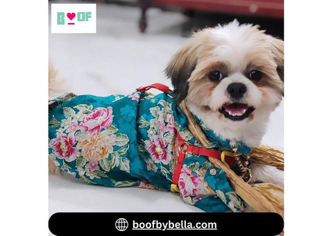 Shop Trendy Dog Kurta at Boof by Bella – Perfect for Pets