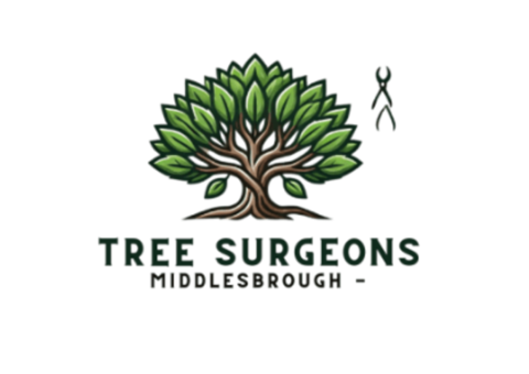 Tree Surgeons Middlesbrough