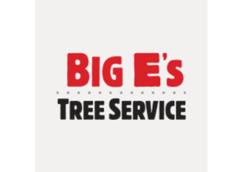 Big E's Tree Service | Tree Trimming