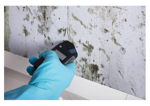 Mold Inspection in Dallas