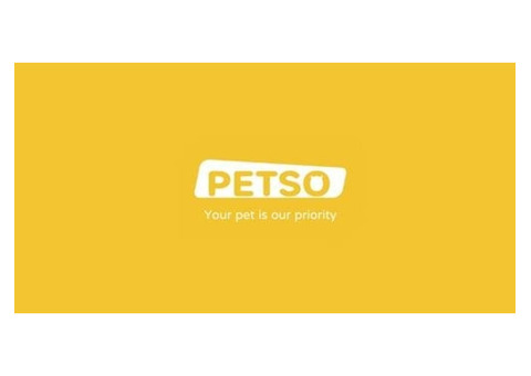 Get Premium Cat Litter Box Solutions Via Petso