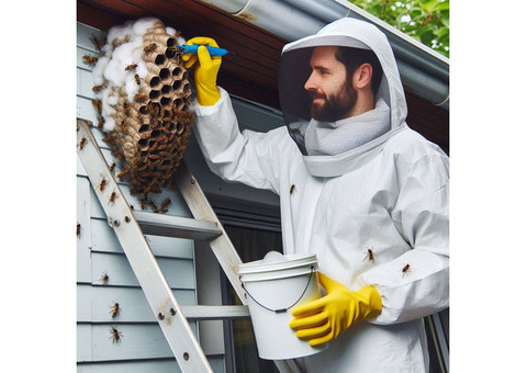 BBPP Pest Control - Service in Woodbridge- Free consultation