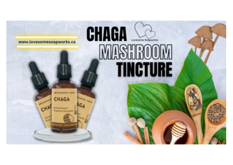 Best Quality Chaga Mushroom Tincture