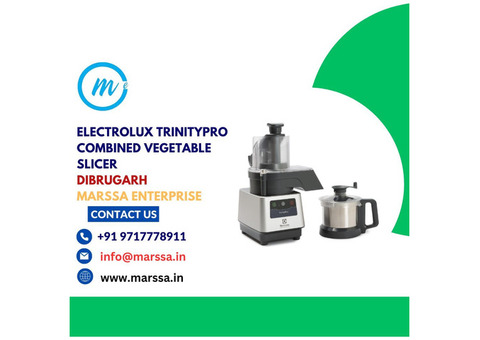 Electrolux Combined Vegetable Slicer Dibrugarh