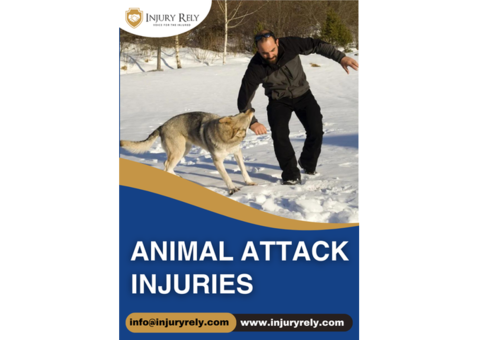 Secure Compensation for Your Animal Attack Injury Now!