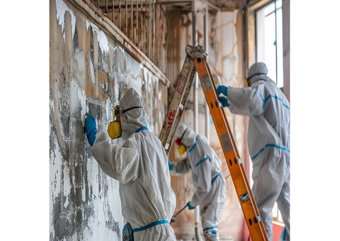 Asbestos Removal Services Ltd