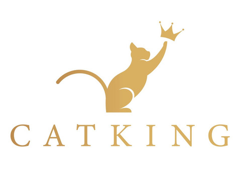 Best Cattery Canada | Kitten For Sale Toronto | CatKing