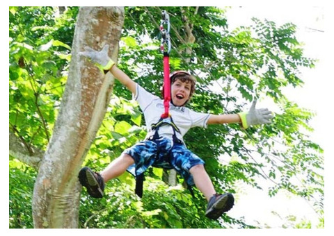 Experience Thrilling Ziplining Adventures in Nadi, Fiji