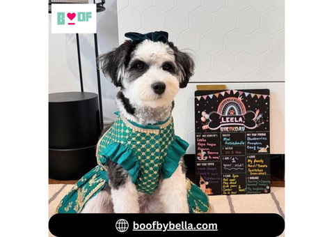 BoofbyBella: Cute Dog Kurta and Lehenga for Festive Looks