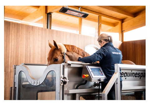 Water Treadmill for Horses