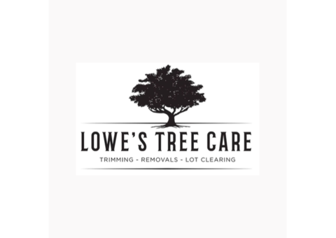 Lowes Tree Care Service LLC | Tree Services