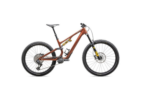 Specialized STUMPJUMPER 15 Öhlins Coil Carbon Mountain Bike 2025