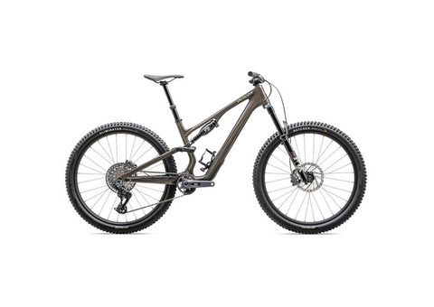 Specialized STUMPJUMPER 15 EXPERT - Carbon Mountain Bike - 2025