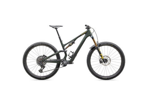 Specialized STUMPJUMPER 15 PRO - Carbon Mountain Bike - 2025