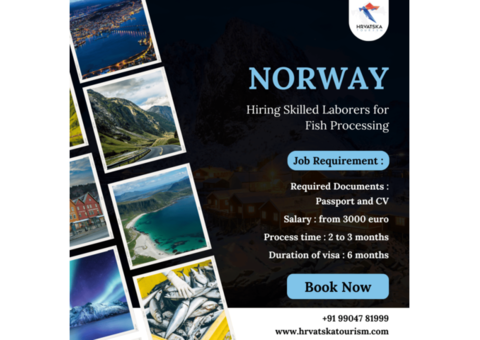 Norway Hiring: Skilled Laborers for Fish Processing!