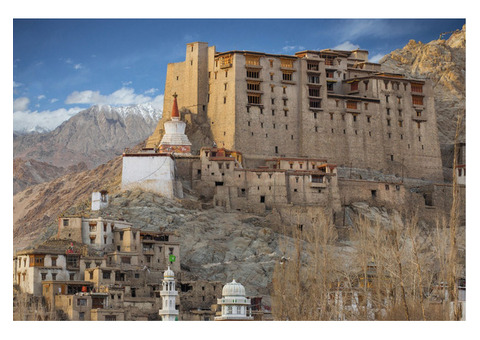 Birding In Leh | Ladakh Tour Package From Delhi