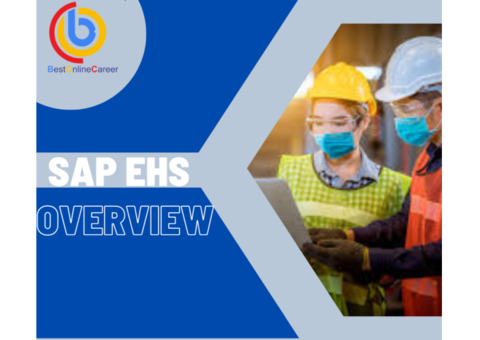 SAP EHS Online Training