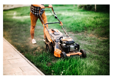 Professional Lawn Maintenance Services in Weatherford, TX