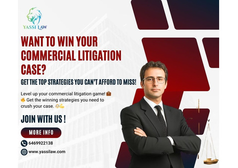 Want to Win Your Commercial Litigation Case?