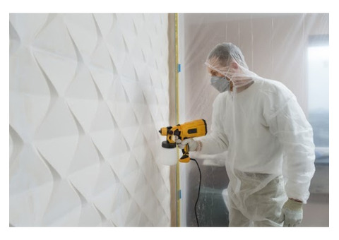 Professional Mold Removal Services for a Healthier Home