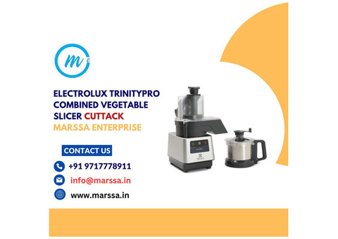 Electrolux Combined Vegetable Slicer Cuttack