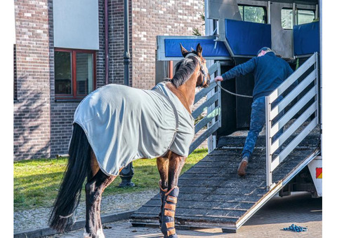 Affordable Horse Transport in California