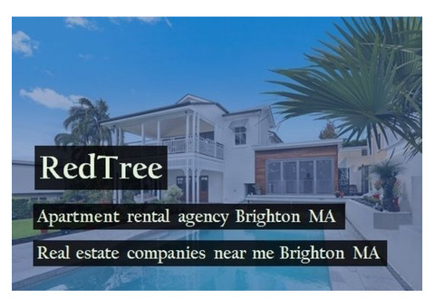 Choose a Beach Facing Apartment Rental Agency Brighton MA