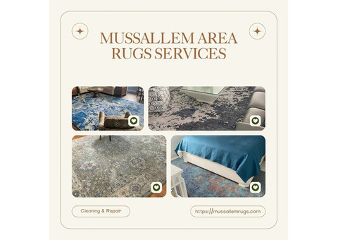 Expert Area Rug Cleaning & Repair in Jacksonville