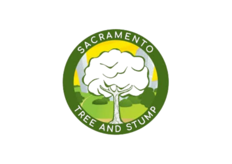 Sac tree and stump | Tree service