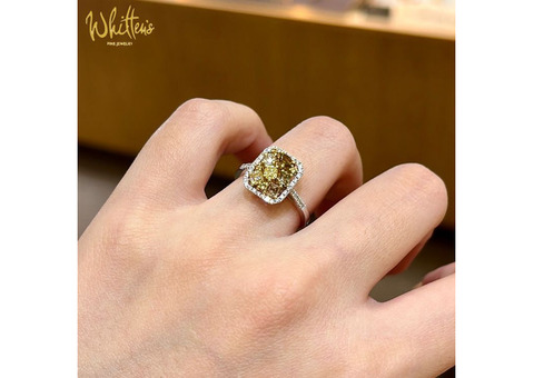 Discover Exquisite Jewelry at Whitten's Fine Jewelry, Delaware