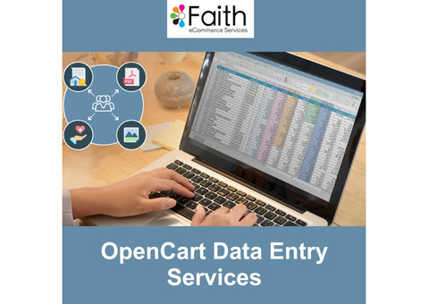 Hire Specialized OpenCart Data Entry Services