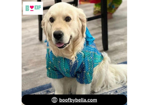 Boof by Bella: Dress Your Pet in Dog Kurta and Lehenga for Diwali