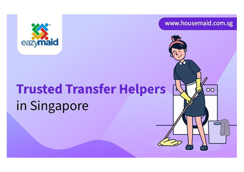 Trusted Transfer Helpers in Singapore